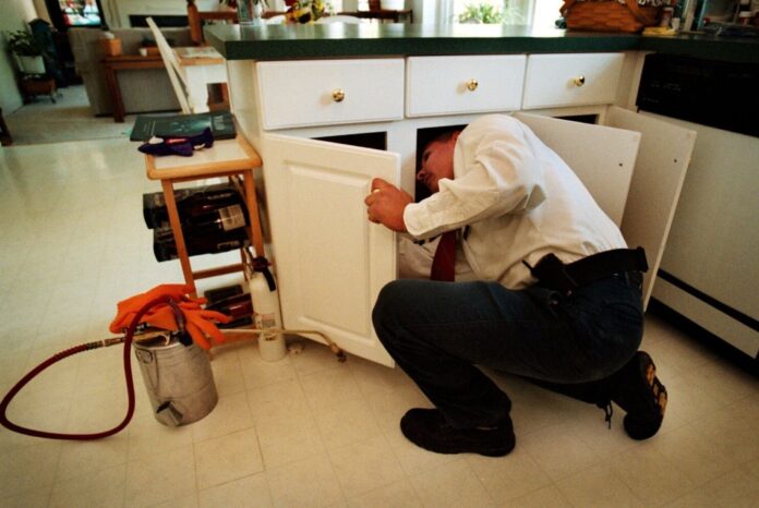 termite treatment Adelaide termite treatment Adelaide