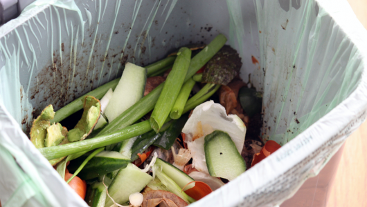 Food Waste Removal