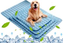 The Ultimate Guide to Comfortable Dog Travel Beds and Muzzles: Travel in Style and Safety